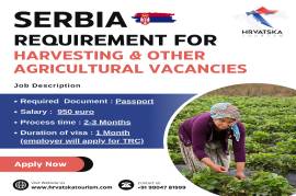  Serbia Requirement for Harvesting vacancies