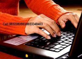 Online Data Entry Job