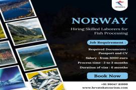 Norway Hiring:Skilled Laborers for Fish Processing